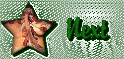 Next Christmas Site